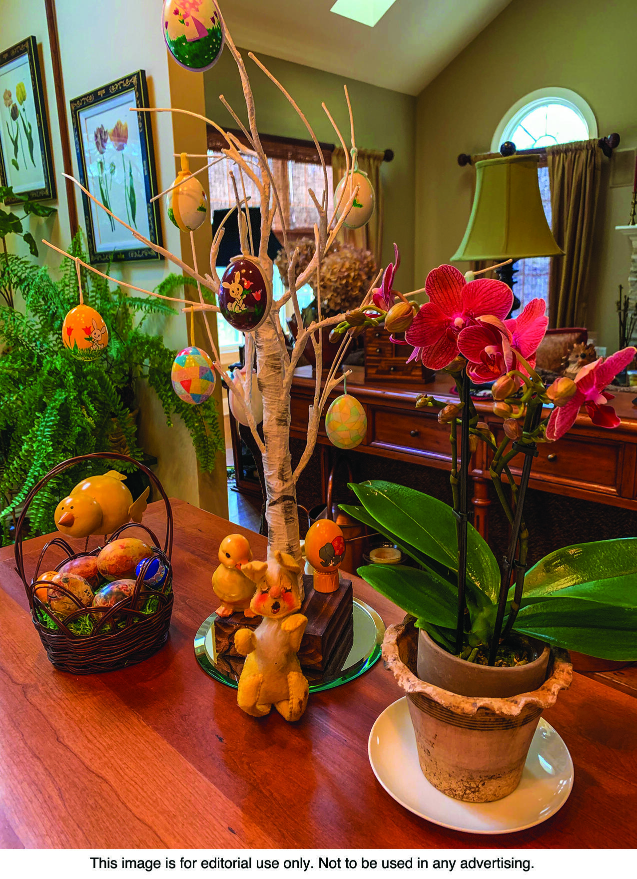 Even though trees may be more widely associated with Christmas, Easter trees are an increasingly popular and festive tradition that trace their roots to Germany.