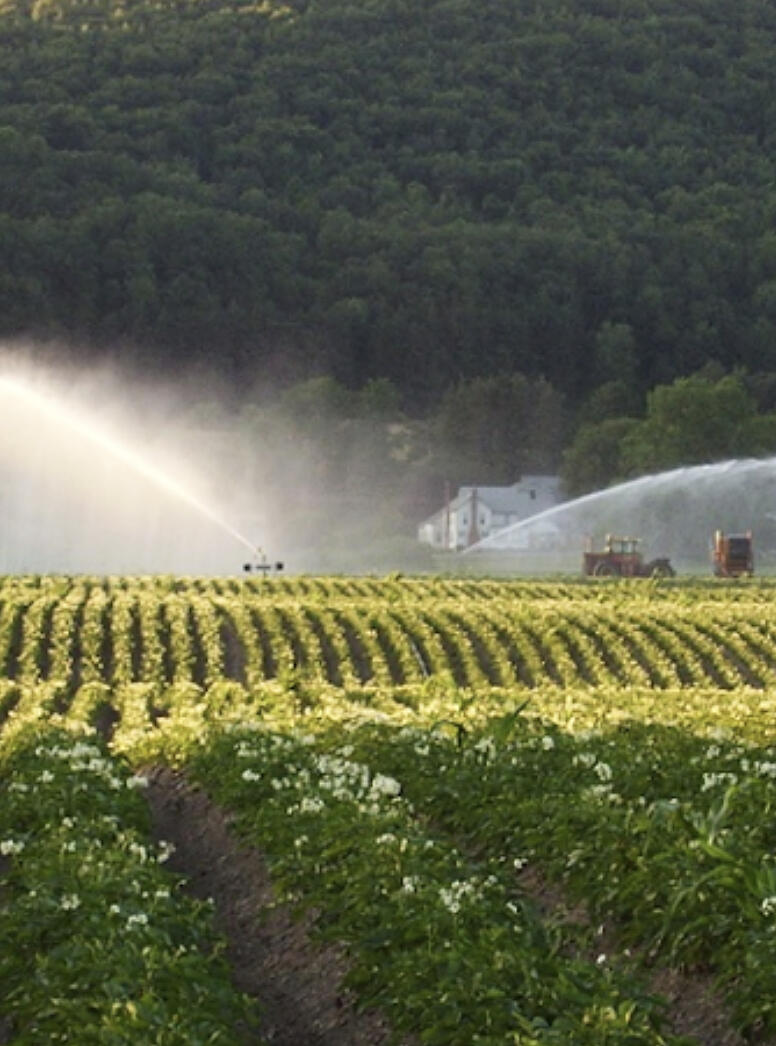 The Produce Safety Rule is part of the federal Food Safety Modernization Act (FSMA) that applies to some farms in Minnesota. Since the law has been finalized, updates and changes have been made that relate to water you use on your farm.