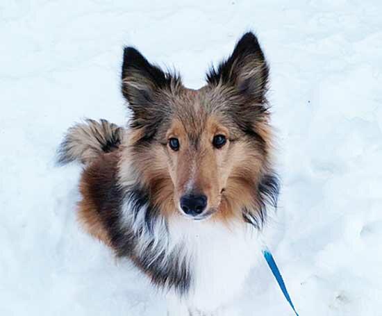 He is also a true Minnesotan who loves the snow.