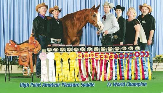 “Going Rogue,” or known commonly as “Ranger,” is the Bauman’s star horse. He is a seven-time World Champion. Above is Ranger’s win in 2016, at the Pinto World Show. Additionally, Ranger holds over 40 world titles in various events. From left: Peter and Helen Frost, Ranger, Tanner, Christine, Mahlon and Jerome Bauman. (Photos courtesy of Mahlon Bauman)