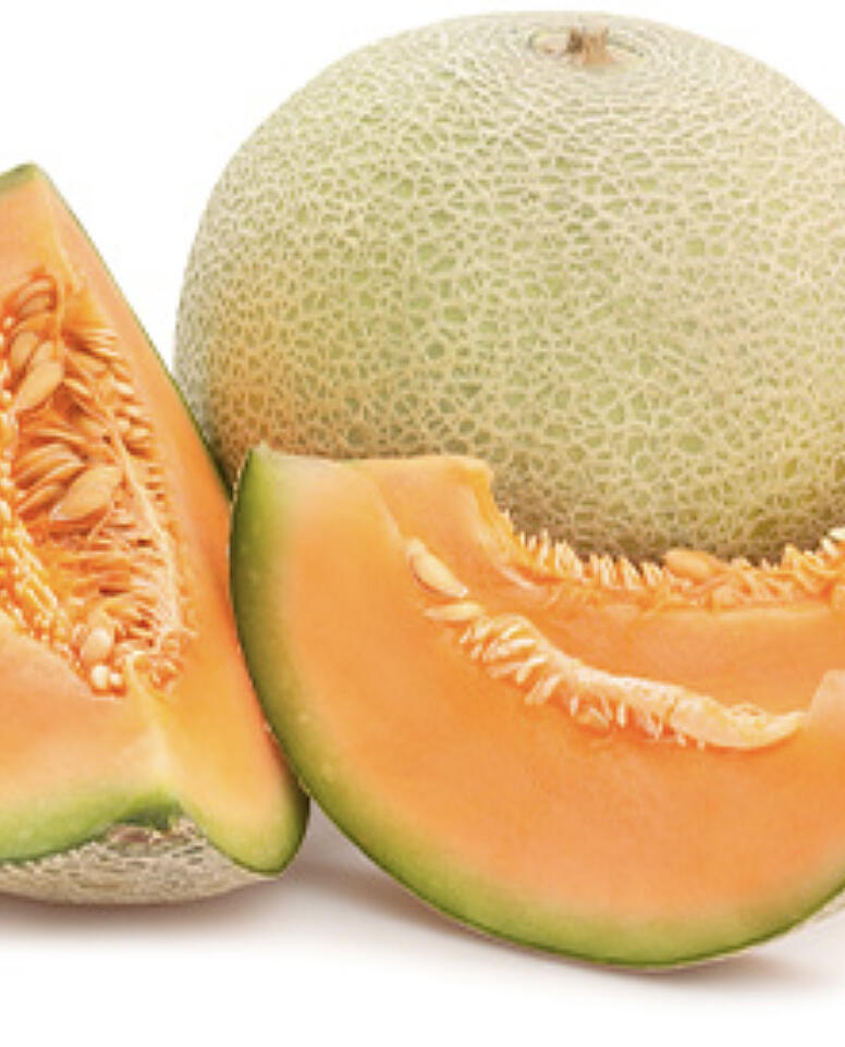 Cantaloupes and Salmonella bacteria are in the news, as a major foodborne illness outbreak and recall has been ongoing related to this crop. Here is what we know.