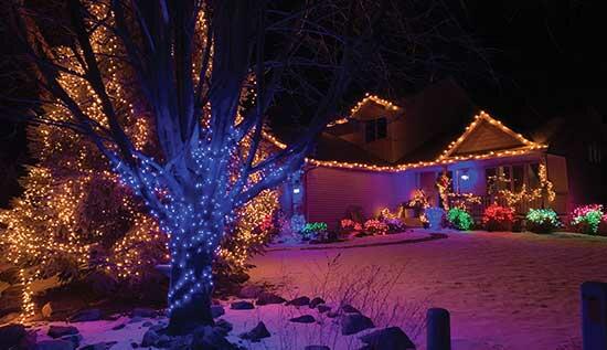 An amazing array of colored lights in trees, bushes, and the house, made for a unique holiday lighting display in Buffalo. (Photo by Tom McDonnell)