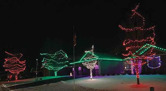 Beautiful Christmas colors lit up the front yard trees of this Buffalo street. (Photo by Tom McDonnell)