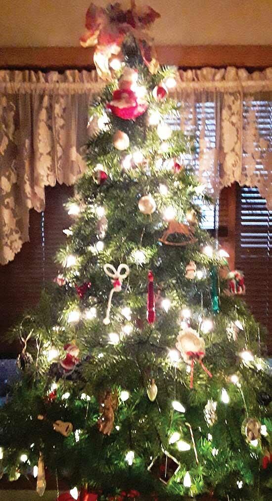 “Our Heritage Tree” - Cheryl & Bruce Dahlen