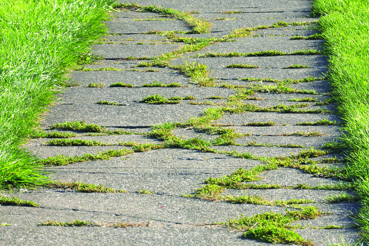 A stunning walkway can set the tone for a space, while a cracked walkway can pose a threat to a home, its residents and any guests who visit to enjoy some R&R in an outdoor living space.