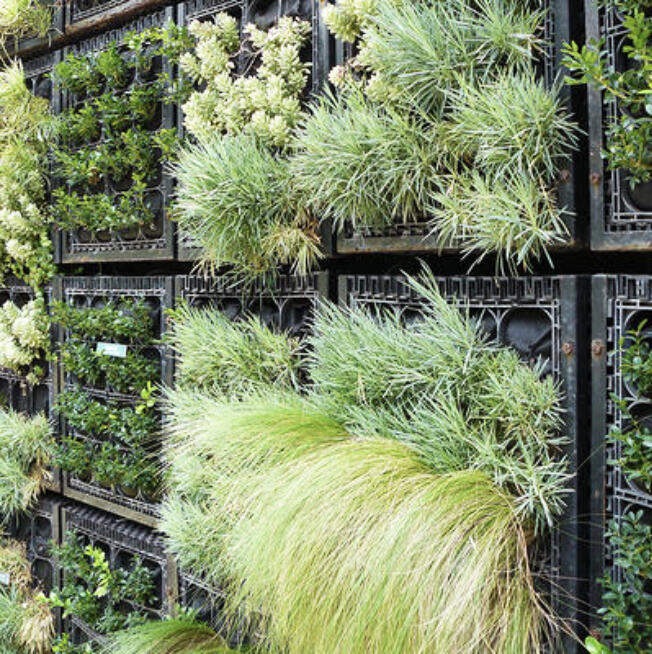 When space is at a premium vertical growing techniques create space to grow plants of all shapes and sizes.