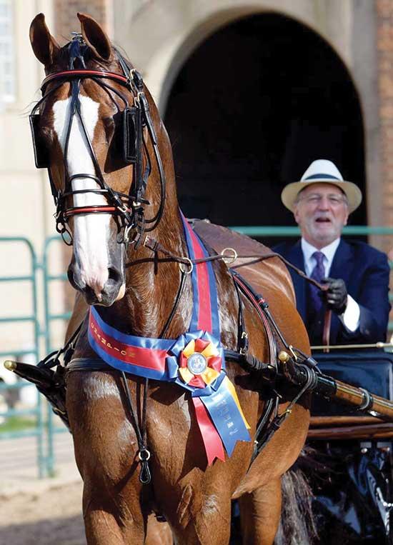 Mark and “Nuty Herby,” aka Herby, winning the Championship ribbon.