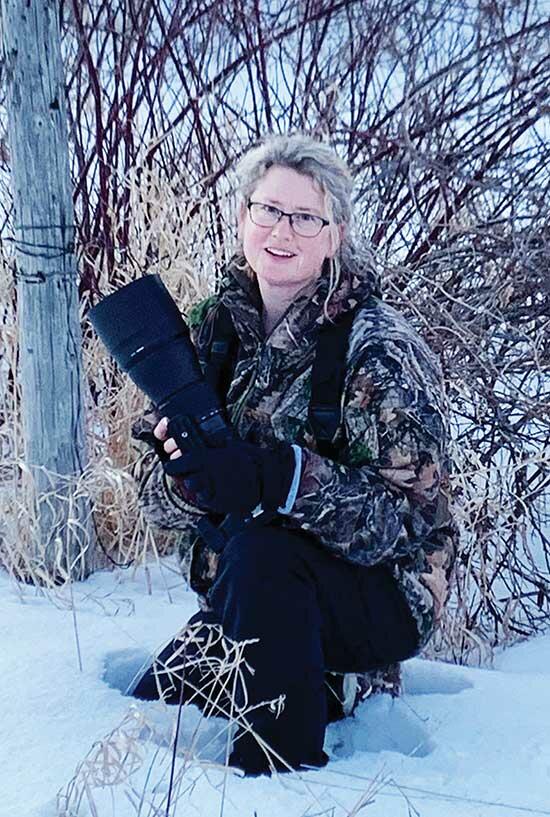 Lisa Jude spends hours outside, in all seasons, waiting for the perfect shot.