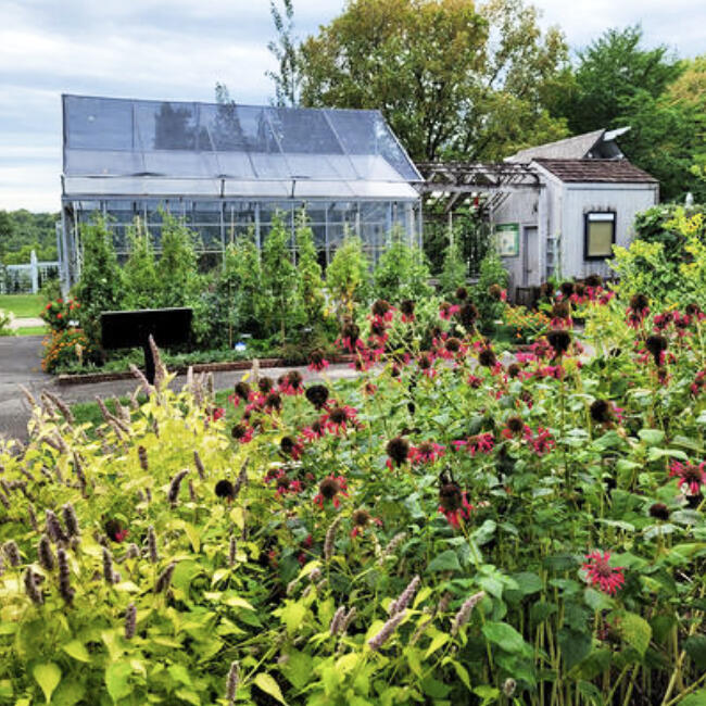 Just in time for your 2022 garden.