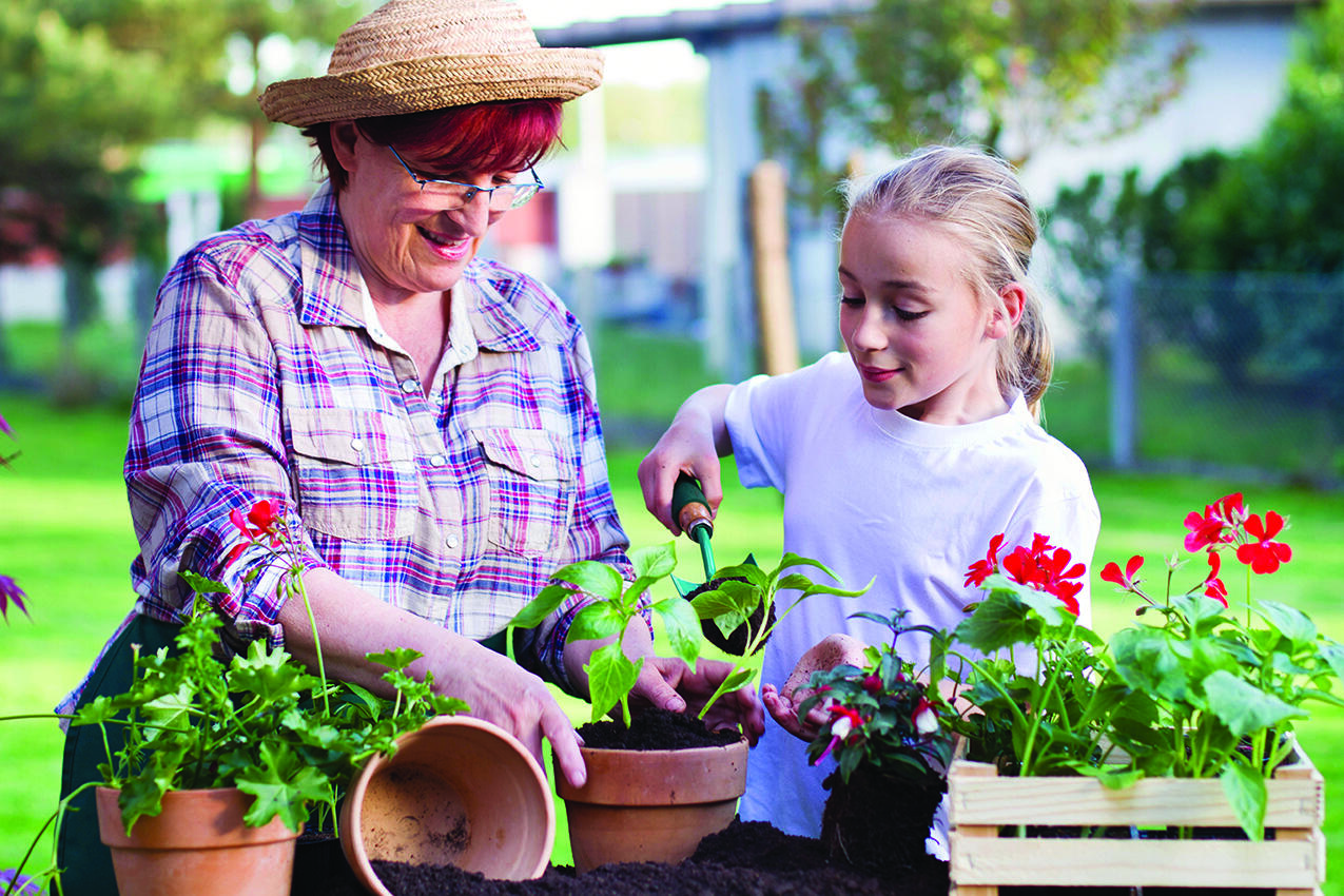 The right choice of plant when mapping out a landscape can save homeowners lots of maintenance down the road.