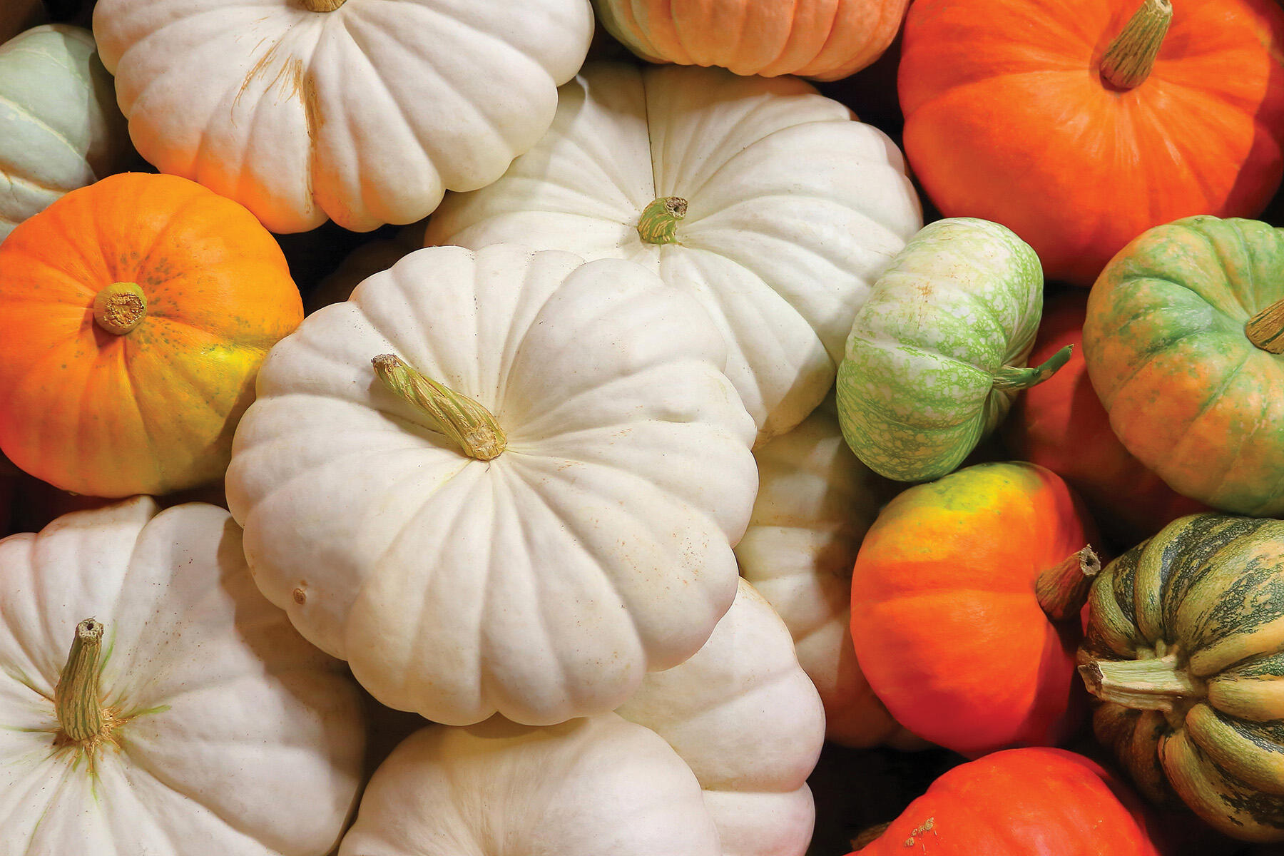 Fall is the season of cool, crisp temperatures, so here are a few recipes to add a little comfort for your family meals.
