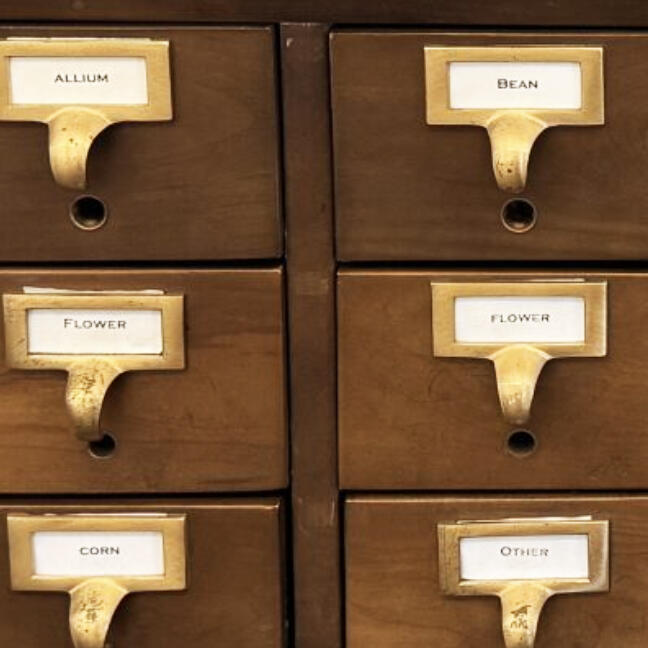 Seed libraries provide free access to seeds and educate communities about gardening, serving as hubs for sharing local plant knowledge and resources. Master Gardener volunteers organize many of them.