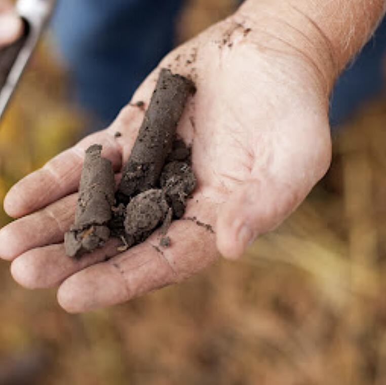I’ve been participating in a climate resilience planning cohort with 12 farmers, led by Land Stewardship Project.