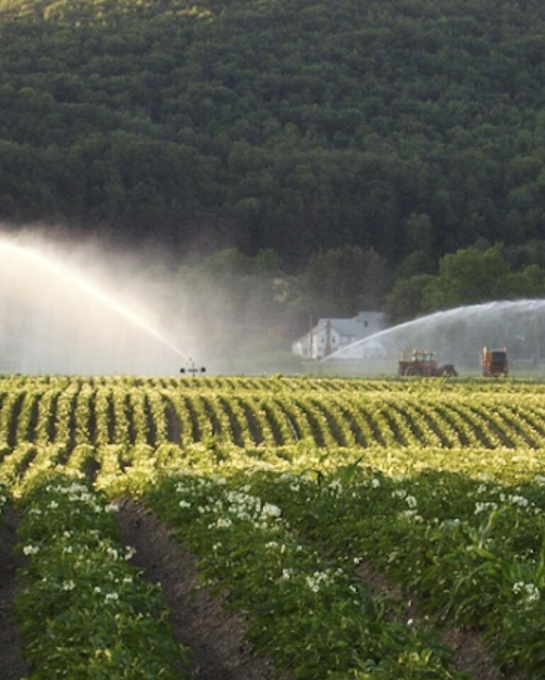 If you use well or surface water in the production of your fresh fruits and vegetables, E. coli can be present in water and contaminate your produce or equipment.