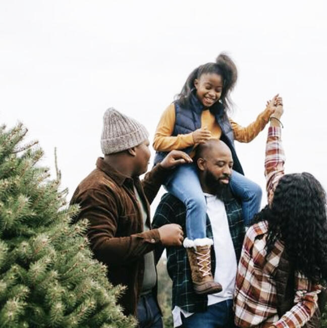 A few tips and tricks to keep your holiday tree healthy through the season.