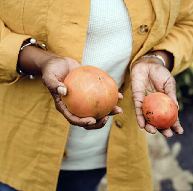 If you are saving seeds, now is the time to start collecting them.