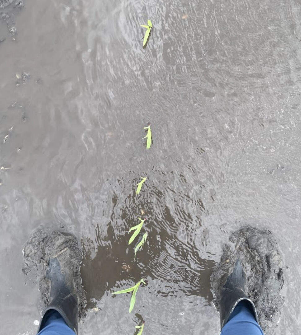 Hopefully last night’s storms are the closing of the tap after another wet week. NOAA is calling for cooler than normal temperatures and less rain in the next week.