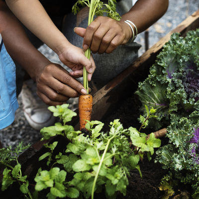Fall is an important time to lay the seeds of success for next year’s garden.